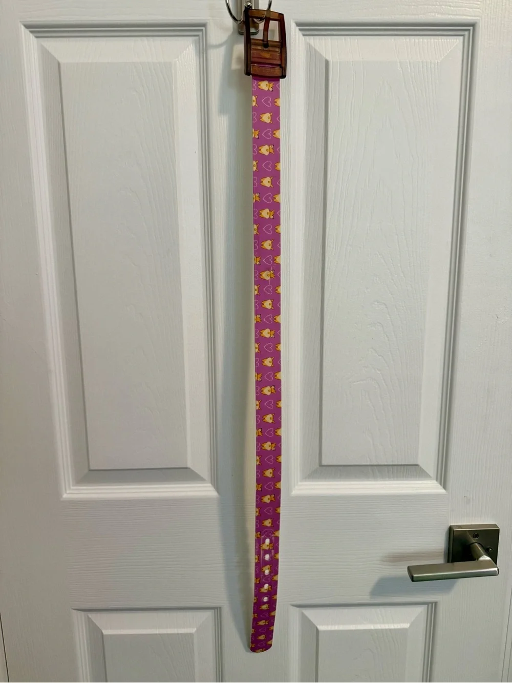 Kids Pink Corgi-Print Adjustable Riding Belt